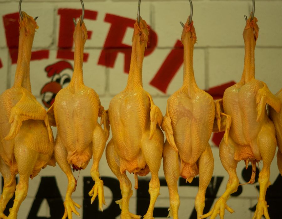 Chicken